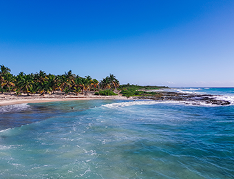 Puerto Costa Maya - empty beach with palm trees